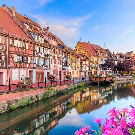 Appartement Avec Terrasse Entre Vignes, Balades, Alsace Гебвиллер Экстерьер фото