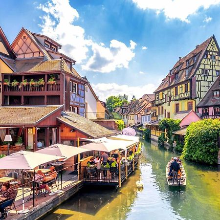 Appartement Avec Terrasse Entre Vignes, Balades, Alsace Гебвиллер Экстерьер фото