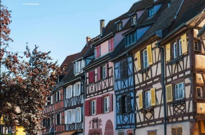 Appartement Avec Terrasse Entre Vignes, Balades, Alsace Гебвиллер Экстерьер фото