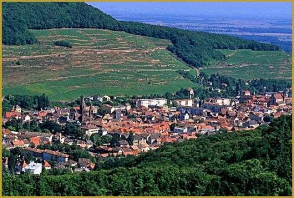 Appartement Avec Terrasse Entre Vignes, Balades, Alsace Гебвиллер Экстерьер фото