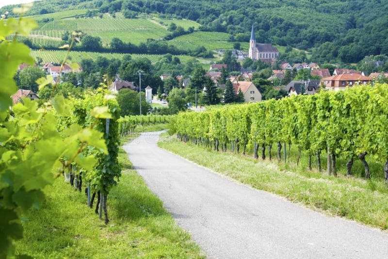 Appartement Avec Terrasse Entre Vignes, Balades, Alsace Гебвиллер Экстерьер фото